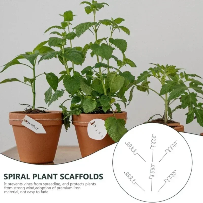 Bonsai Garden Stand - Soporte para Plantas Trepadoras, Estaca Espiral