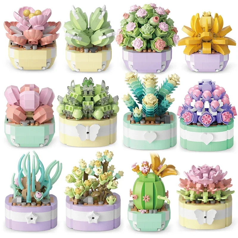 Bonsai Garden Pot - Bloques de construcción de flores suculentas