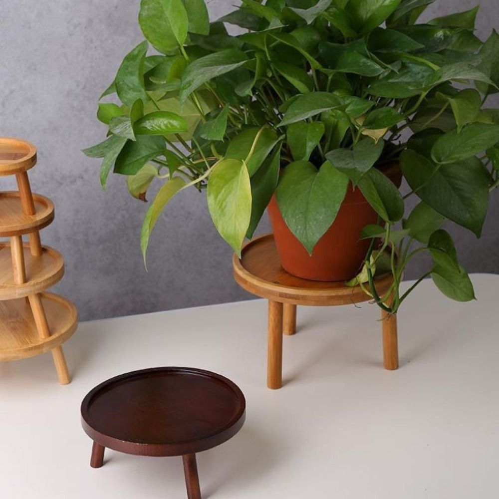 Bonsai Garden Stand - Soporte Creativo para Macetas de Flores