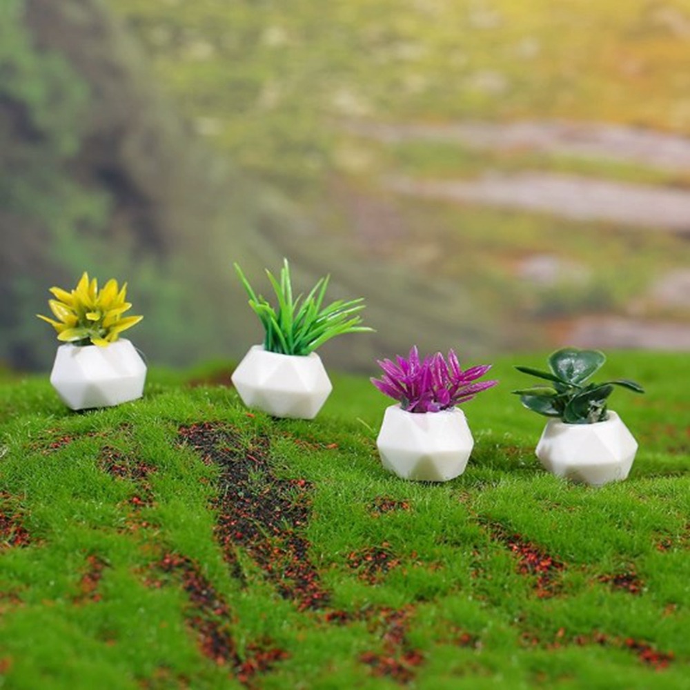 Bonsai Garden For Home - Planta en maceta en miniatura para