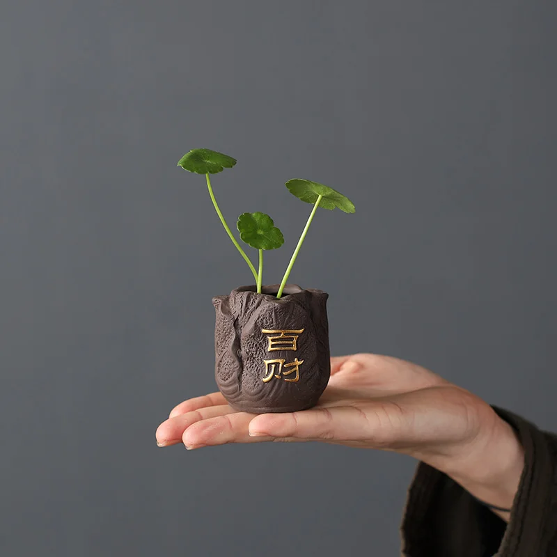 Mini maceta creativa de arcill - Bonsai Garden Pot reseña y precio