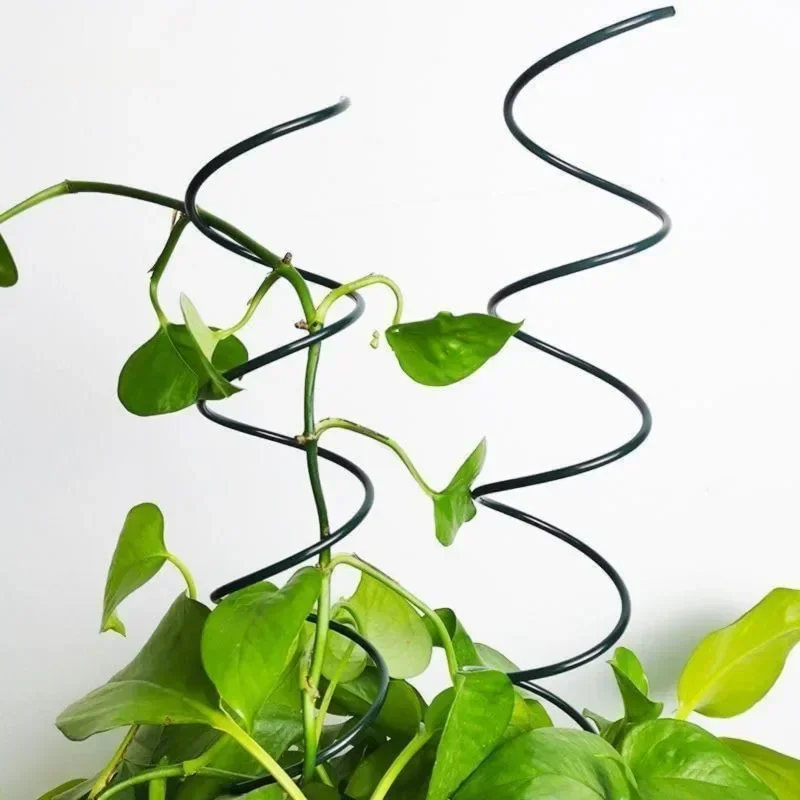 Soporte para Plantas Trepadora - Bonsai Garden Stand reseña y precio