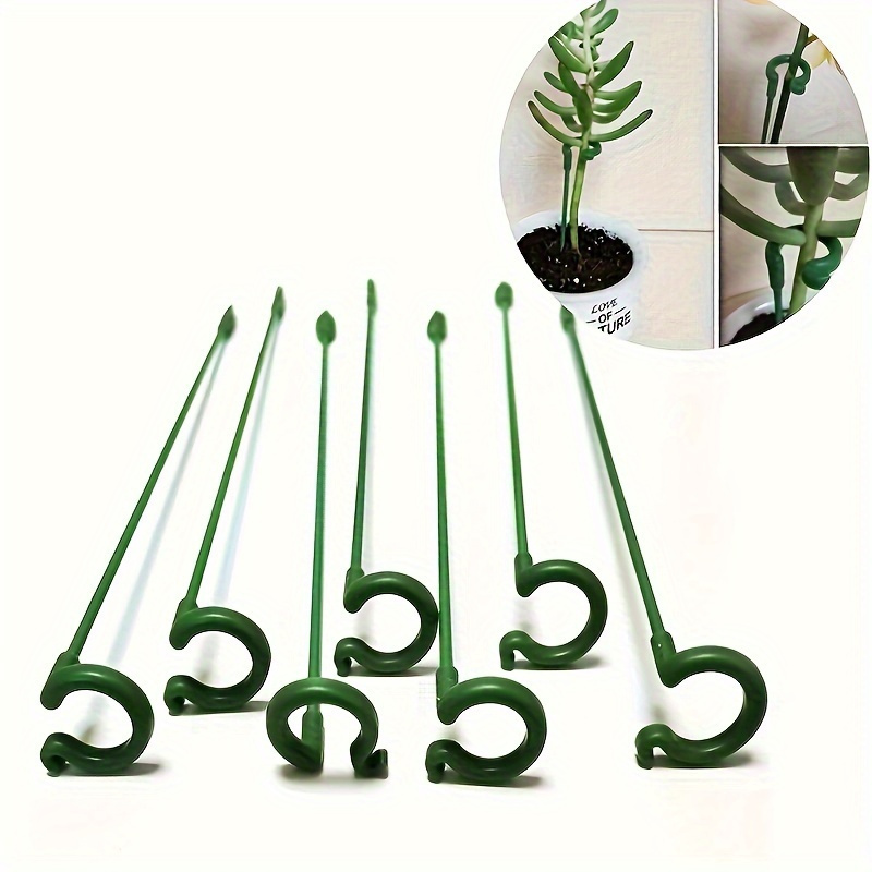 6 Soportes de Plástico Verde p - Bonsai Garden Stand reseña y precio