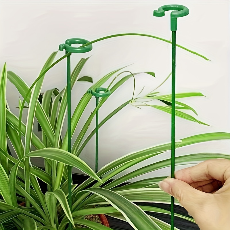 6 Soportes de Plástico Verde p - Bonsai Garden Stand reseña y precio