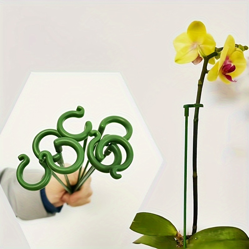 6 Soportes de Plástico Verde p - Bonsai Garden Stand reseña y precio