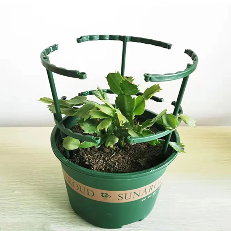 4 Soportes de Plástico para Pl - Bonsai Garden Stand reseña y precio