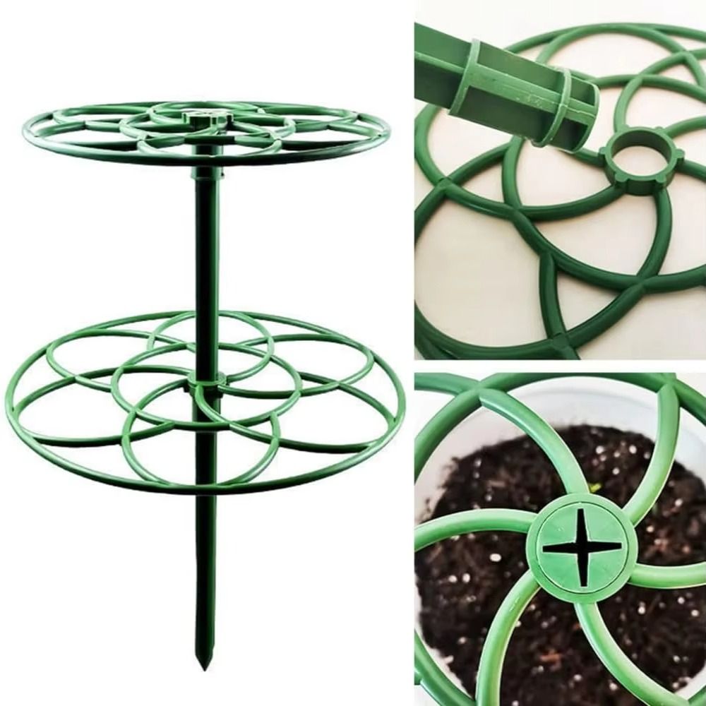 Nuevo Soporte Apilable Multica - Bonsai Garden Stand reseña y precio