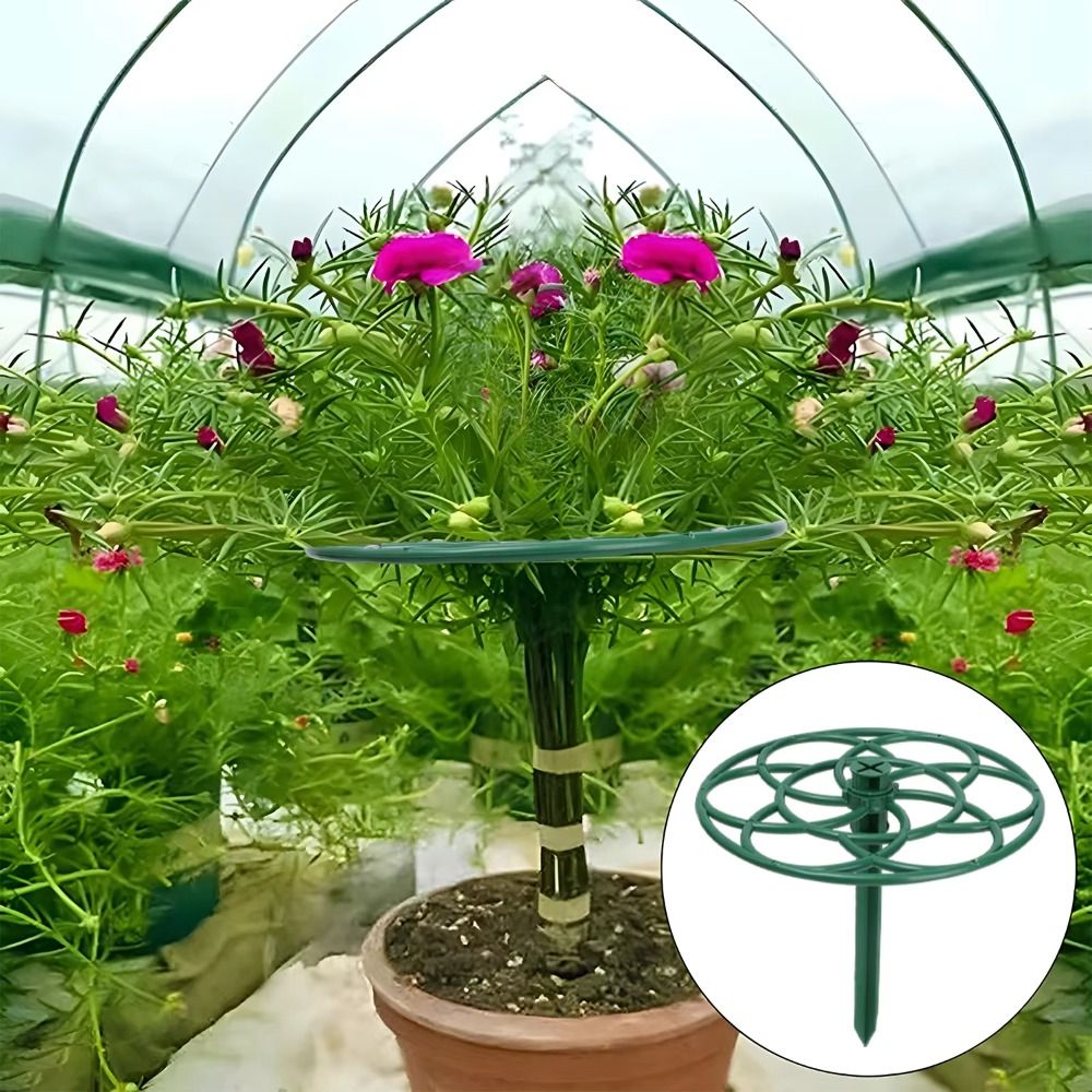 Nuevo Soporte Apilable Multica - Bonsai Garden Stand reseña y precio