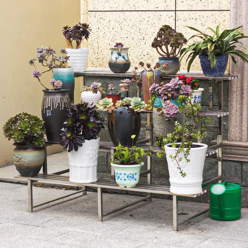 2026 Estante Personalizable de - Bonsai Garden Display Stands reseña y precio