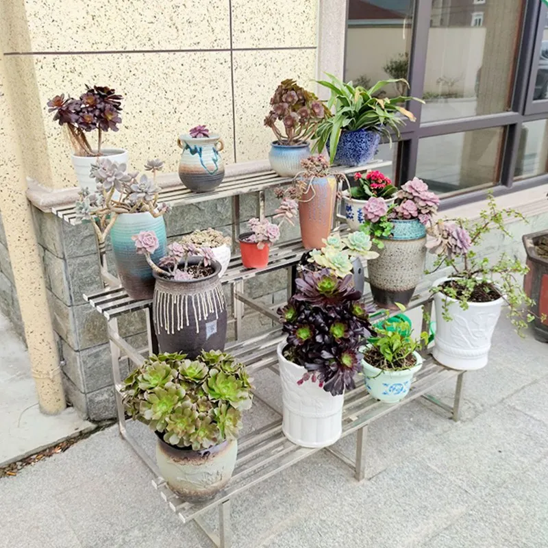 2026 Estante Personalizable de - Bonsai Garden Display Stands reseña y precio