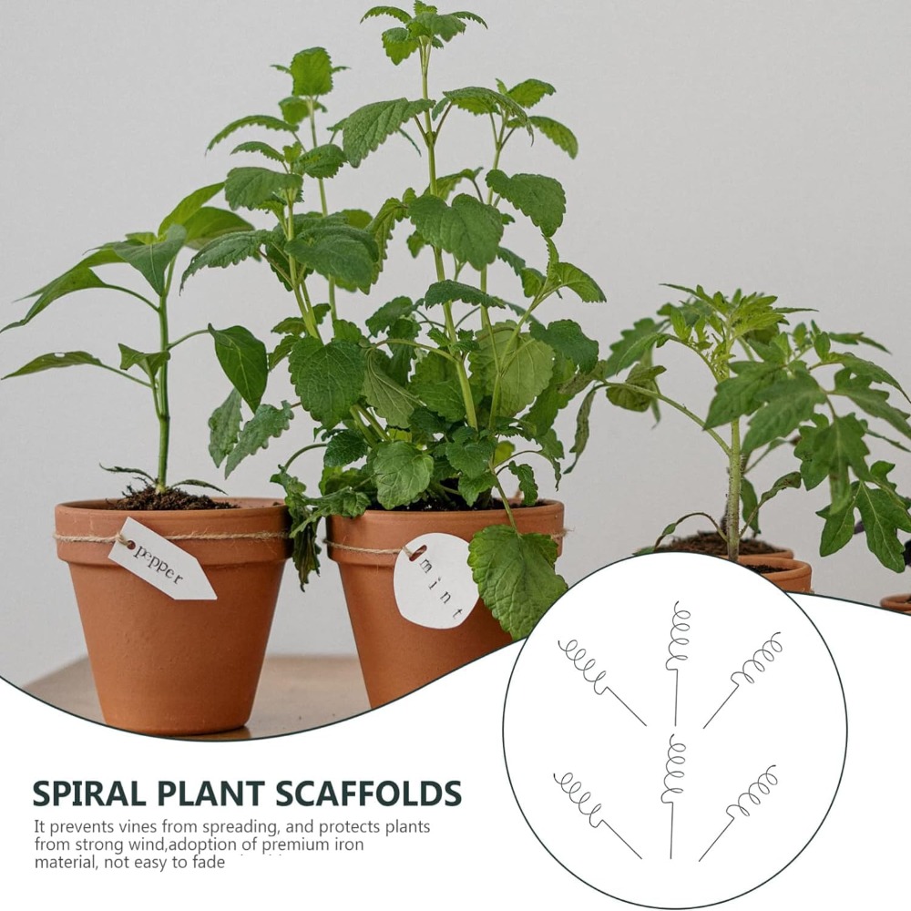 Nueva varilla de fijación, sop - Bonsai Garden Stand reseña y precio