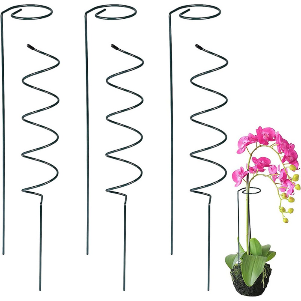 Nueva varilla de fijación, sop - Bonsai Garden Stand reseña y precio