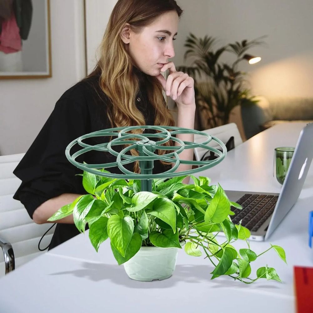 Soporte de Plástico Apilable p - Bonsai Garden Stand reseña y precio