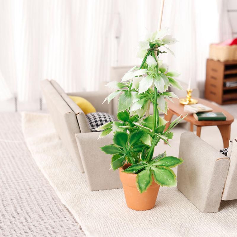 1/12 casa de muñecas simulació - Bonsai Garden Usa reseña y precio