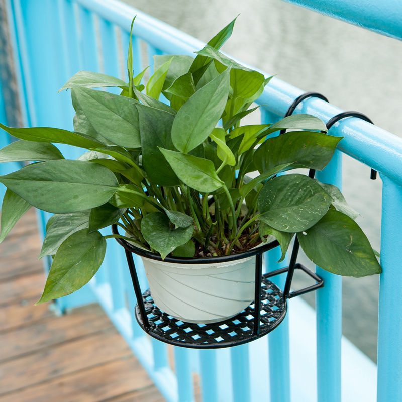 Macetas de jardinería para ext - Bonsai Garden Stand reseña y precio