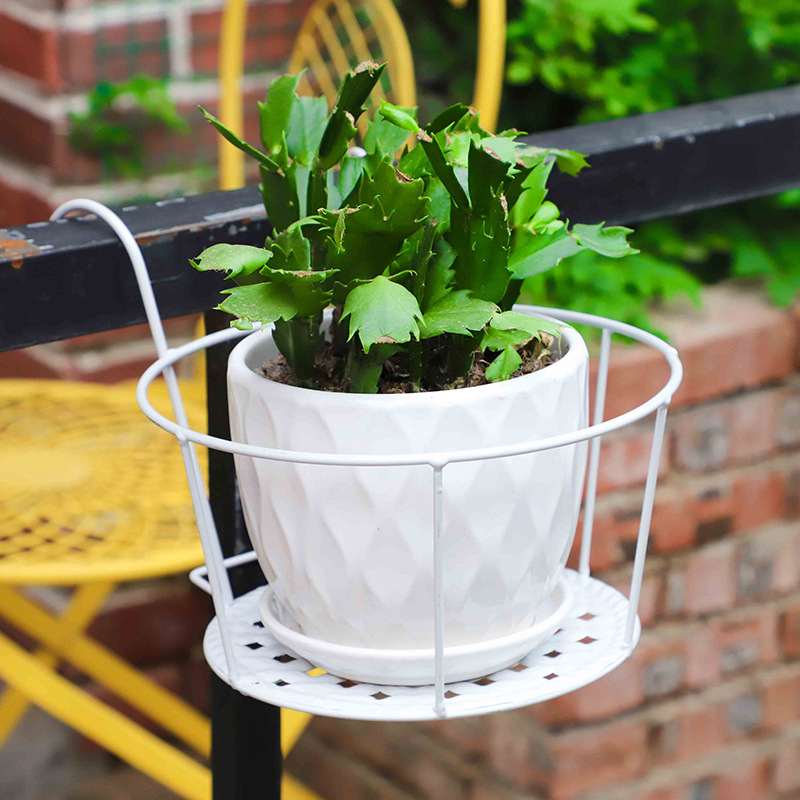 Macetas de jardinería para ext - Bonsai Garden Stand reseña y precio