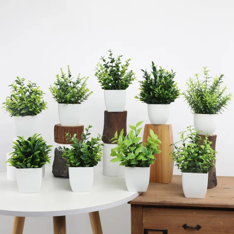 Venta al por mayor OEM/ODM Min - Bonsai Garden Pot reseña y precio