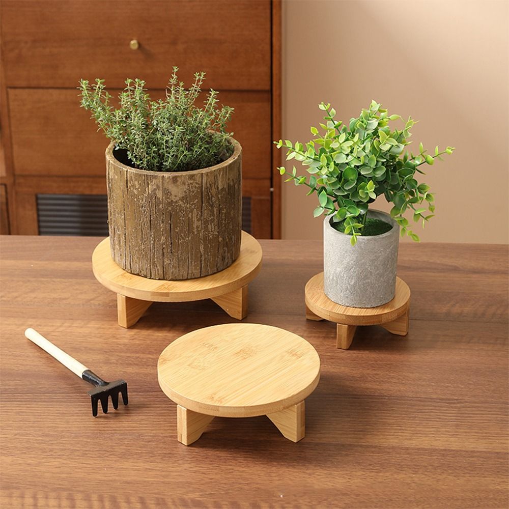 Soporte de Exhibición para Bon - Bonsai Garden Display Stands reseña y precio