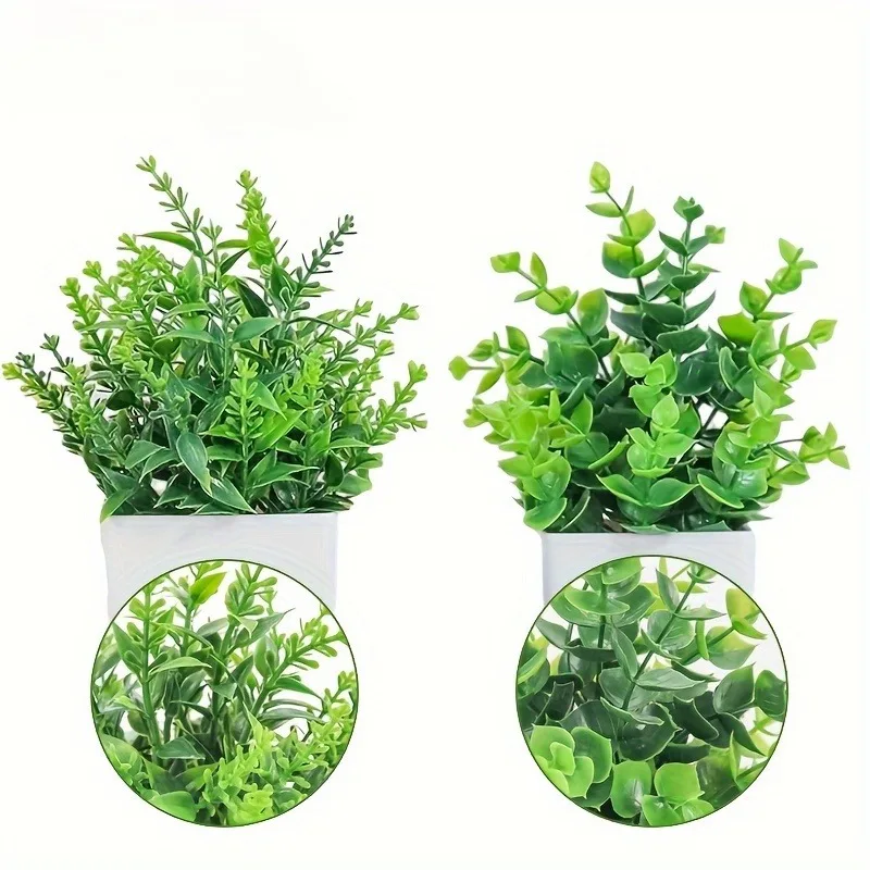 Venta al por mayor, bonsái Art - Bonsai Garden For Home reseña y precio
