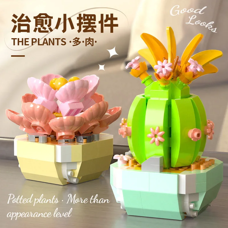 Bloques de construcción de flo - Bonsai Garden Pot reseña y precio