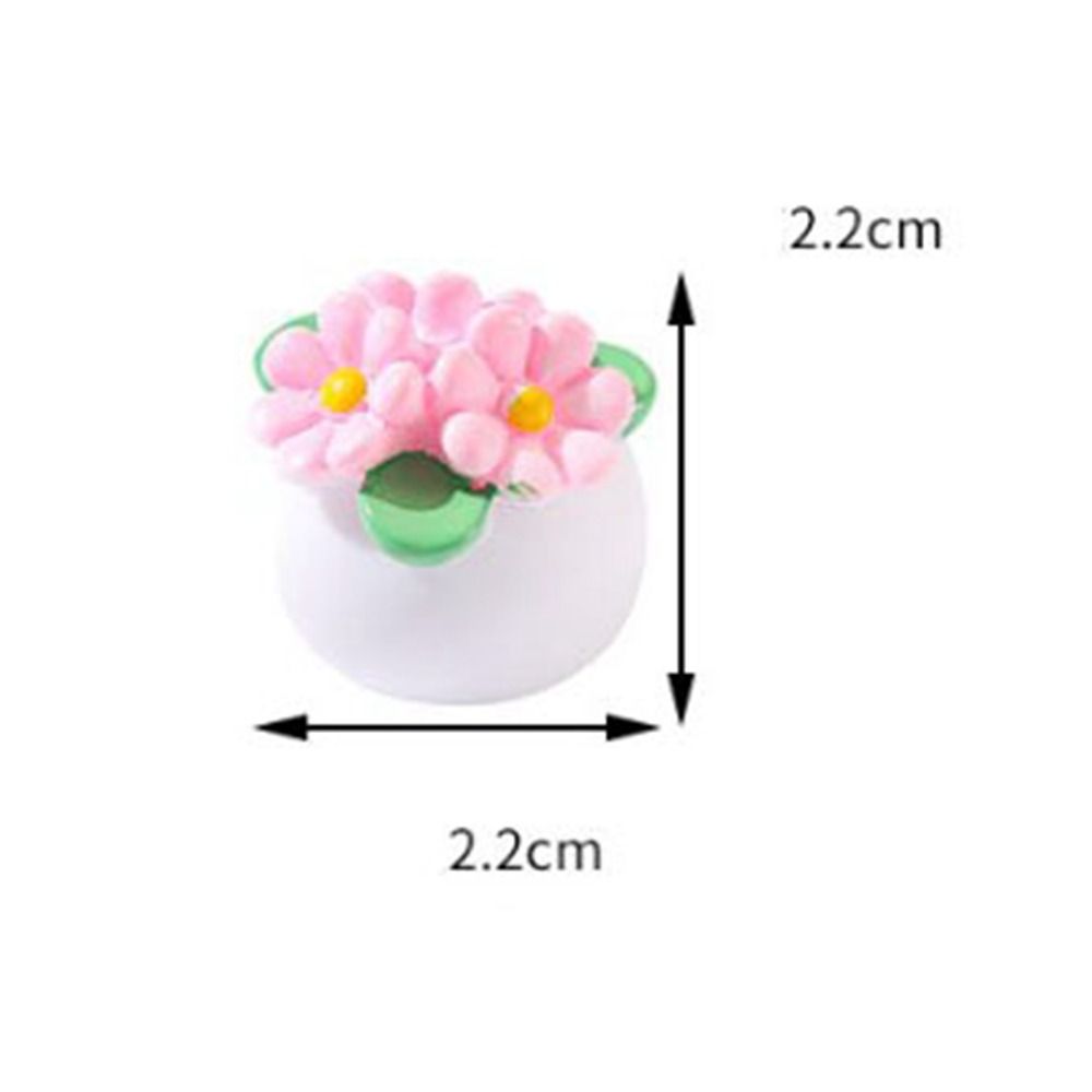 Planta en maceta en miniatura  - Bonsai Garden For Home reseña y precio