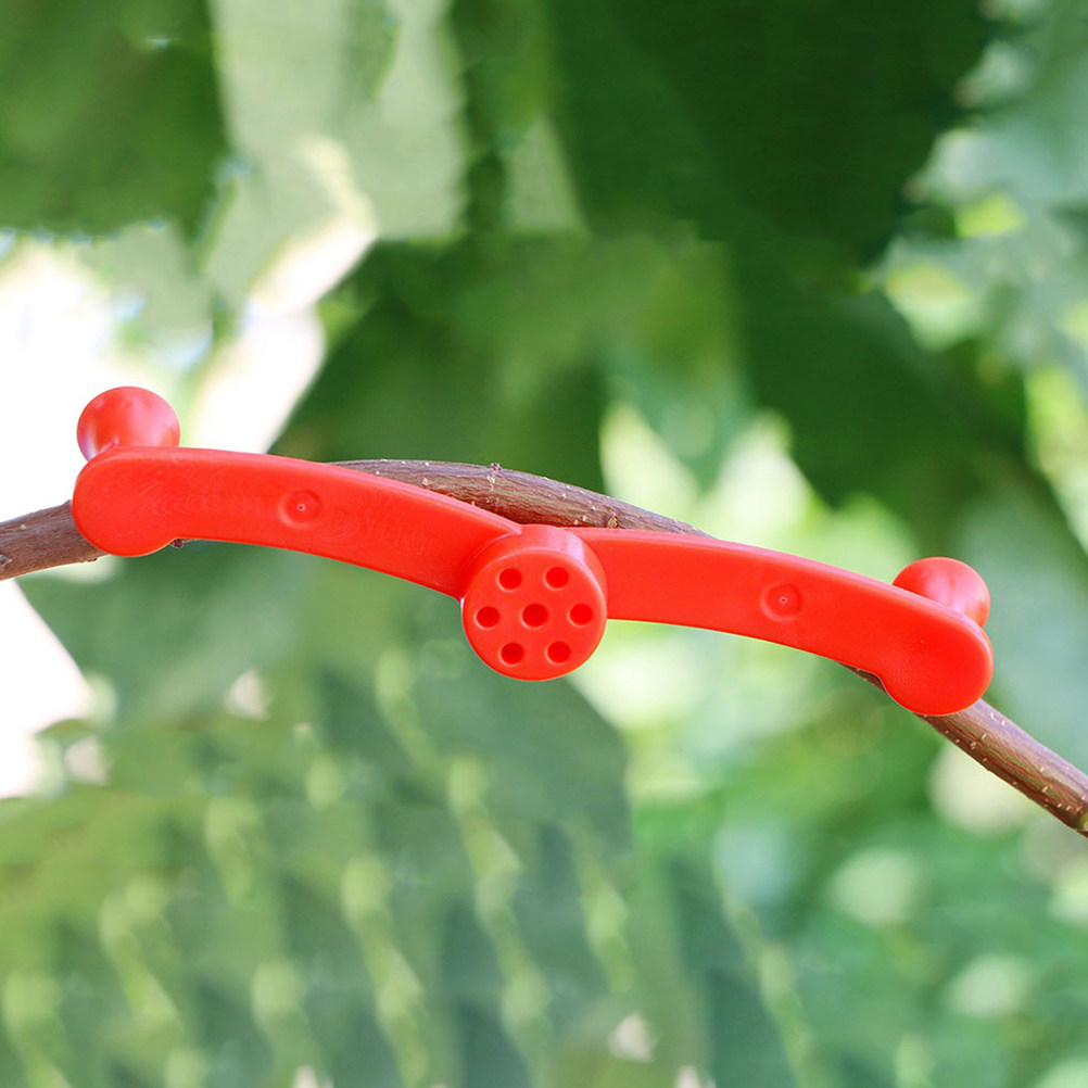 10 Piezas de Soportes Flexible - Bonsai Garden Usa reseña y precio