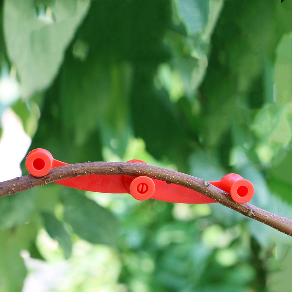 10 Piezas de Soportes Flexible - Bonsai Garden Usa reseña y precio