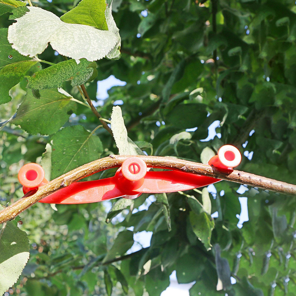 10 Piezas de Soportes Flexible - Bonsai Garden Usa reseña y precio