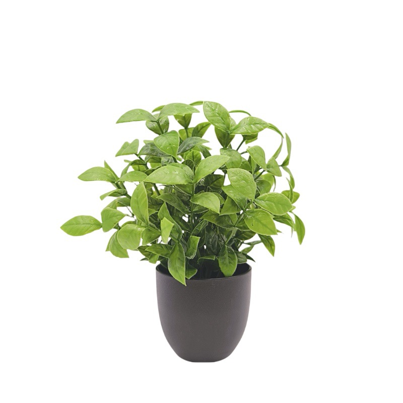 Bonsái de Planta Verde Simulad - Bonsai Garden Pot reseña y precio