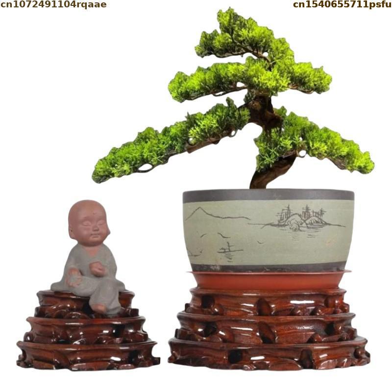 Florero de pie de 6-30cm de di - Bonsai Garden Display Stands reseña y precio