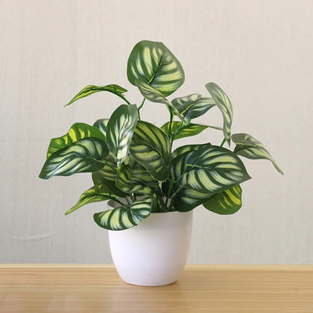 Maceta de follaje Artificial,  - Bonsai Garden Pot reseña y precio