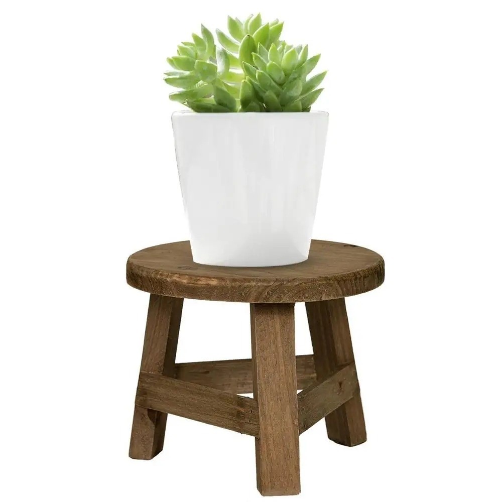 Soporte Moderno para Bonsáis,  - Bonsai Garden Stand reseña y precio