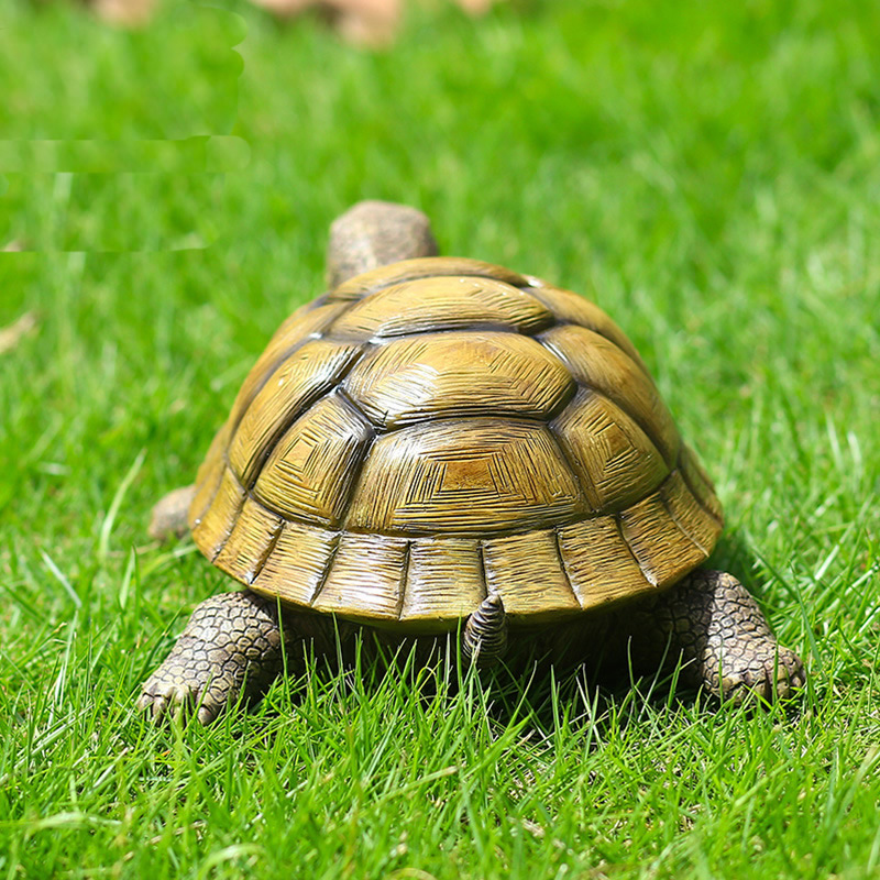 Tortuga decorativa de resina p - Bonsai Garden For Home reseña y precio