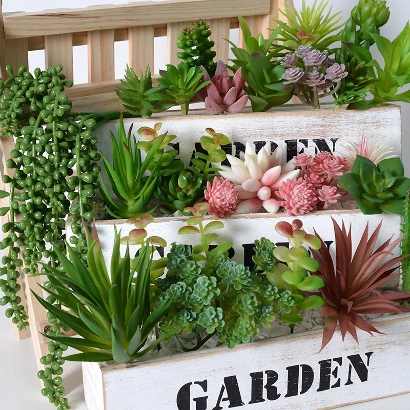 10/20 Piezas de Plantas Sucule - Bonsai Garden For Home reseña y precio